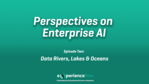 Read more about the article Perspectives on Enterprise AI – Episode Two: Data Rivers, Lakes and Oceans